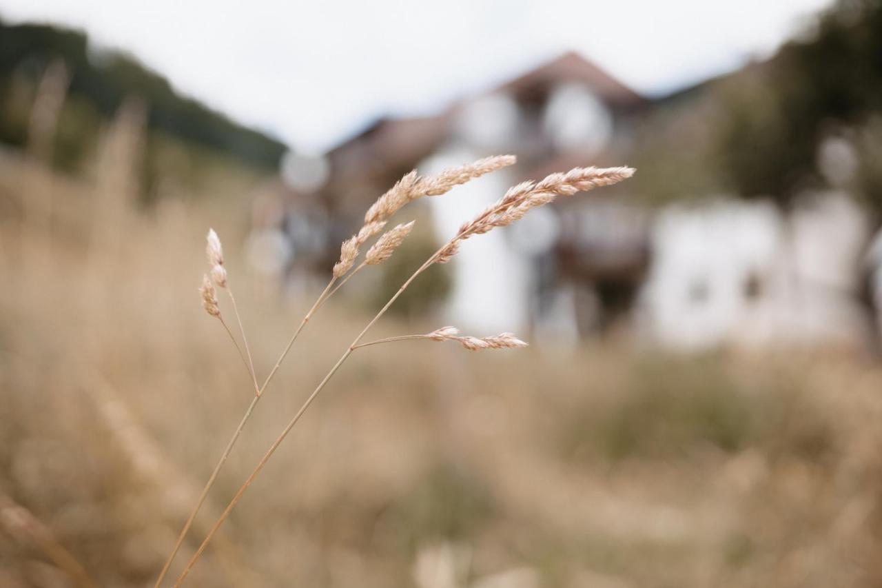 Winter-Nest Apartment Todtnau Ngoại thất bức ảnh